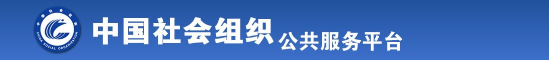 成年人网站免费啊啊啊全国社会组织信息查询